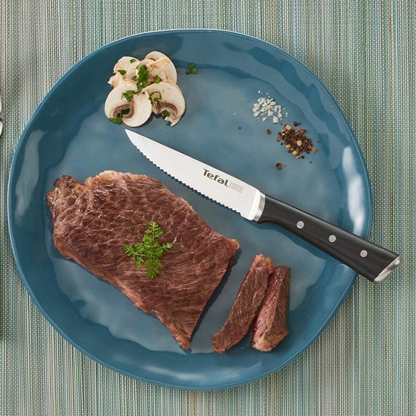 تيفال® Ice force Set 4Pcs Steak Knife ستانلس ستيل أسود وفضي